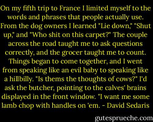 On my fifth trip to France I limited myself to the words and phrases that people actually use. From the dog owners I learned "Lie down," "Shut up," and "Who shit on this carpet?" The couple across the road taught me to ask questions correctly, and the grocer taught me to count. Things began to come together, and I went from speaking like an evil baby to speaking like a hillbilly. "Is thems the thoughts of cows?" I'd ask the butcher, pointing to the calves' brains displayed in the front window. "I want me some lamb chop with handles on 'em. - David Sedaris