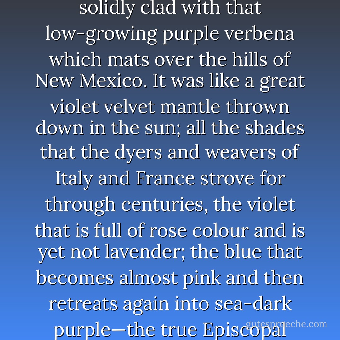 He domesticated and developed the native wild flowers. He had one hill-side solidly clad with that low-growing purple verbena which mats over the hills of New Mexico. It was like a great violet velvet mantle thrown down in the sun; all the shades that the dyers and weavers of Italy and France strove for through centuries, the violet that is full of rose colour and is yet not lavender; the blue that becomes almost pink and then retreats again into sea-dark purple—the true Episcopal colour and countless variations of it. - Willa Cather