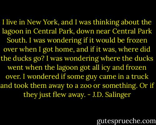 I live in New York, and I was thinking about the lagoon in Central Park, down near Central Park South. I was wondering if it would be frozen over when I got home, and if it was, where did the ducks go? I was wondering where the ducks went when the lagoon got all icy and frozen over. I wondered if some guy came in a truck and took them away to a zoo or something. Or if they just flew away. - J.D. Salinger