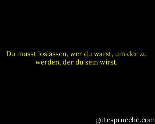 Du musst loslassen, wer du warst, um der zu werden, der du sein wirst. - Janet Fitch<