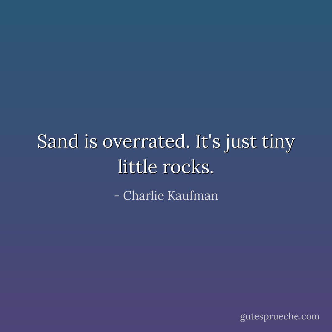 Sand is overrated. It's just tiny little rocks. - Charlie Kaufman