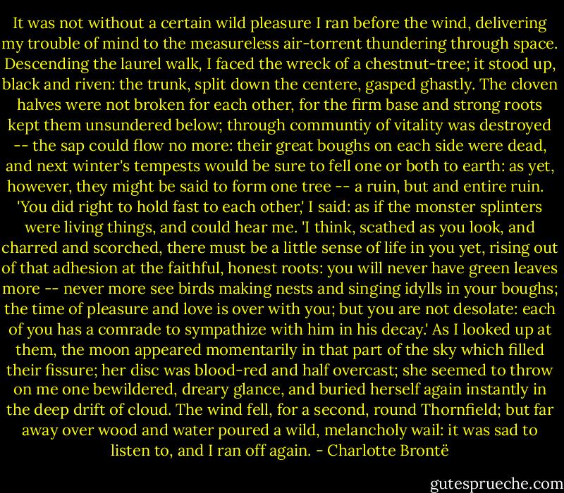 It was not without a certain wild pleasure I ran before the wind, delivering my trouble of mind to the measureless air-torrent thundering through space. Descending the laurel walk, I faced the wreck of a chestnut-tree; it stood up, black and riven: the trunk, split down the centere, gasped ghastly. The cloven halves were not broken for each other, for the firm base and strong roots kept them unsundered below; through communtiy of vitality was destroyed -- the sap could flow no more: their great boughs on each side were dead, and next winter's tempests would be sure to fell one or both to earth: as yet, however, they might be said to form one tree -- a ruin, but and entire ruin. <br /><br />'You did right to hold fast to each other,' I said: as if the monster splinters were living things, and could hear me. 'I think, scathed as you look, and charred and scorched, there must be a little sense of life in you yet, rising out of that adhesion at the faithful, honest roots: you will never have green leaves more -- never more see birds making nests and singing idylls in your boughs; the time of pleasure and love is over with you; but you are not desolate: each of you has a comrade to sympathize with him in his decay.' As I looked up at them, the moon appeared momentarily in that part of the sky which filled their fissure; her disc was blood-red and half overcast; she seemed to throw on me one bewildered, dreary glance, and buried herself again instantly in the deep drift of cloud. The wind fell, for a second, round Thornfield; but far away over wood and water poured a wild, melancholy wail: it was sad to listen to, and I ran off again. - Charlotte Brontë