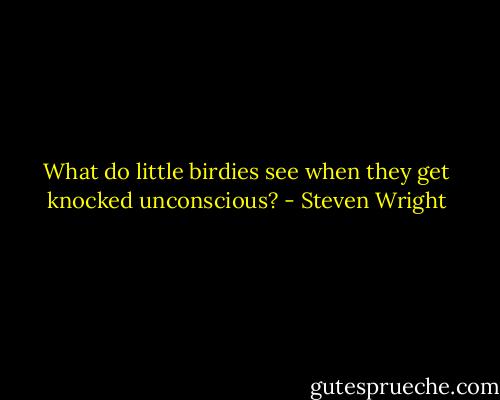 What do little birdies see when they get knocked unconscious? - Steven Wright