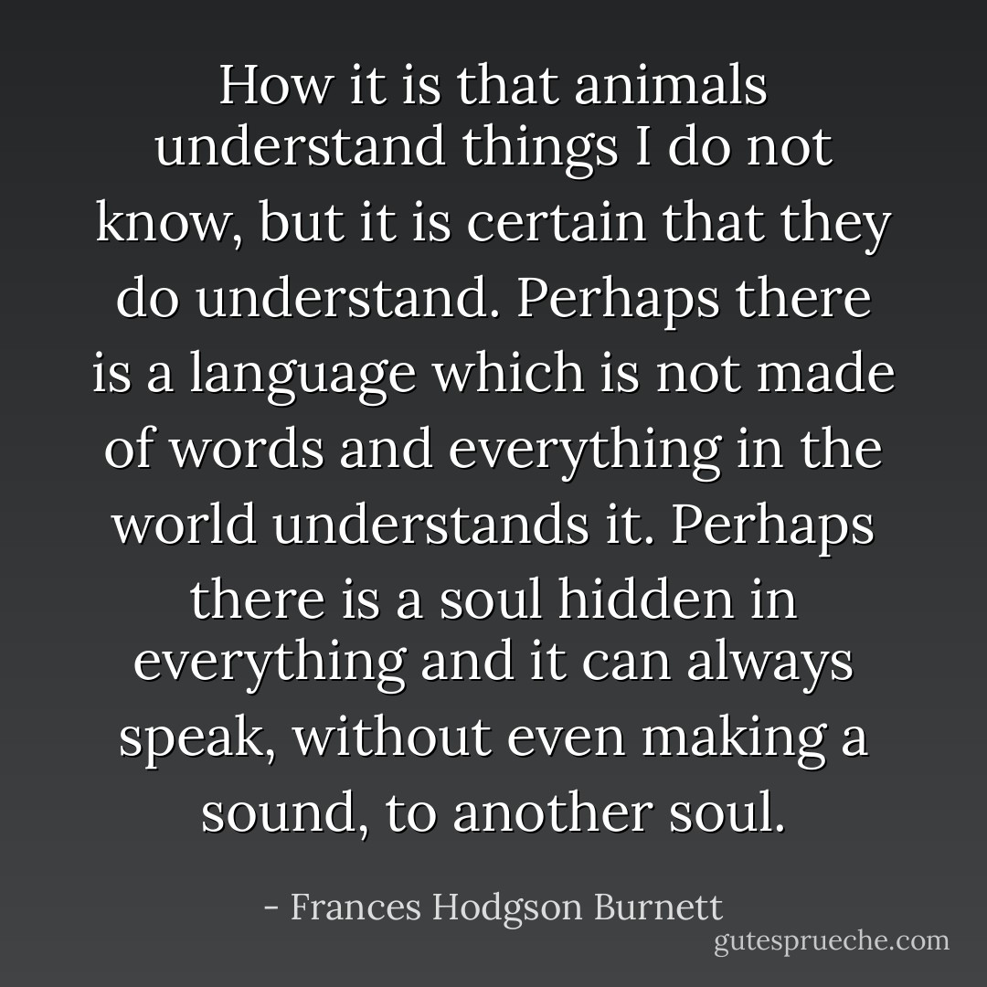 How it is that animals understand things I do not know, but it is certain that they do understand. Perhaps there is a language which is not made of words and everything in the world understands it. Perhaps there is a soul hidden in everything and it can always speak, without even making a sound, to another soul. - Frances Hodgson Burnett