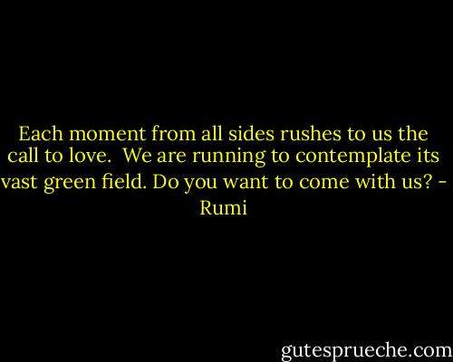Each moment from all sides rushes to us the call to love. <br />We are running to contemplate its vast green field.<br />Do you want to come with us? - Rumi