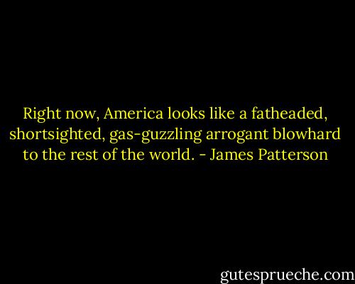 Right now, America looks like a fatheaded, shortsighted, gas-guzzling arrogant blowhard to the rest of the world. - James Patterson