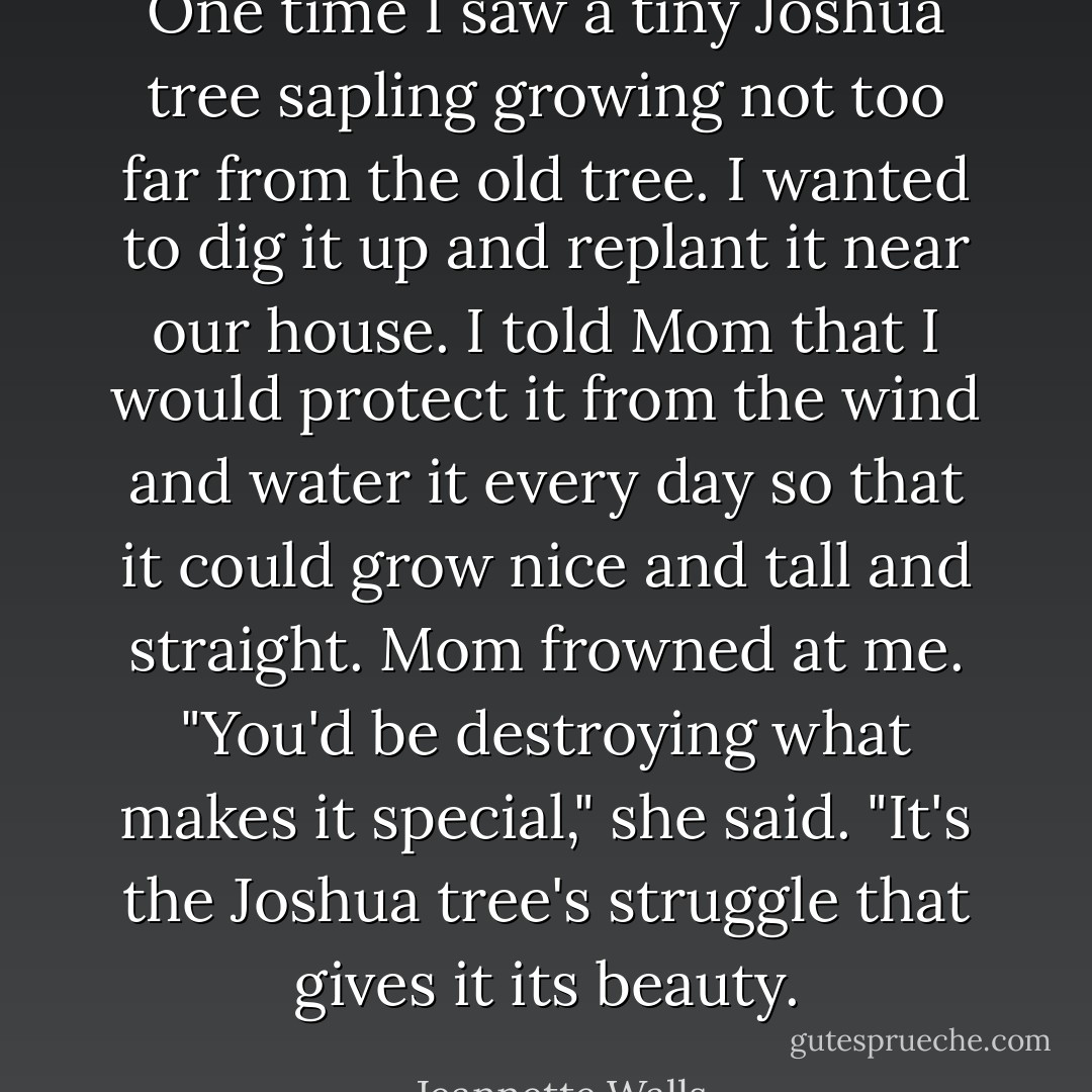 One time I saw a tiny Joshua tree sapling growing not too far from the old tree. I wanted to dig it up and replant it near our house. I told Mom that I would protect it from the wind and water it every day so that it could grow nice and tall and straight. Mom frowned at me. "You'd be destroying what makes it special," she said. "It's the Joshua tree's struggle that gives it its beauty. - Jeannette Walls