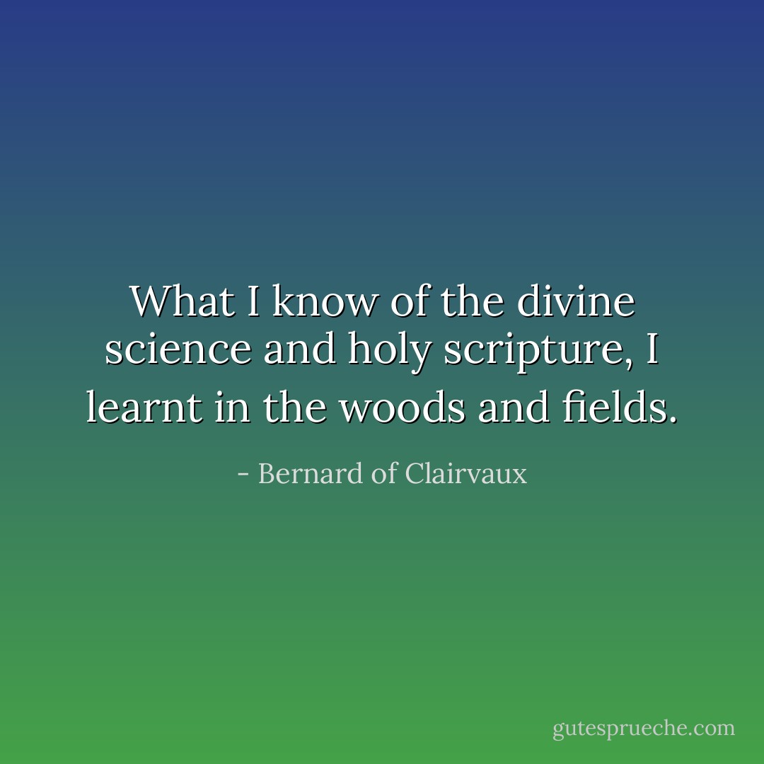 What I know of the divine<br />science and holy scripture,<br />I learnt in the woods and fields. - Bernard of Clairvaux