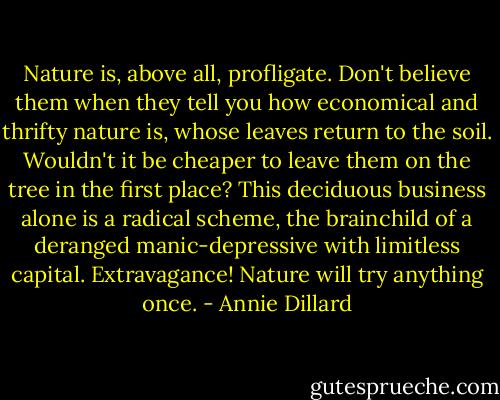 Nature is, above all, profligate. Don't believe them when they tell you how economical and thrifty nature is, whose leaves return to the soil. Wouldn't it be cheaper to leave them on the tree in the first place? This deciduous business alone is a radical scheme, the brainchild of a deranged manic-depressive with limitless capital. Extravagance! Nature will try anything once. - Annie Dillard