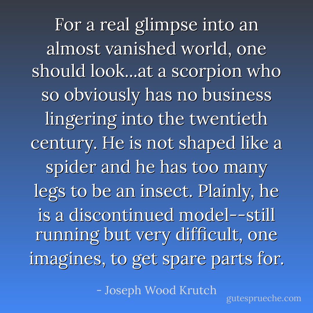 For a real glimpse into an almost vanished world, one should look...at a scorpion who so obviously has no business lingering into the twentieth century. He is not shaped like a spider and he has too many legs to be an insect. Plainly, he is a discontinued model--still running but very difficult, one imagines, to get spare parts for. - Joseph Wood Krutch