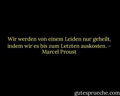 Wir werden von einem Leiden nur geheilt, indem wir es bis zum Letzten auskosten. - Marcel Proust