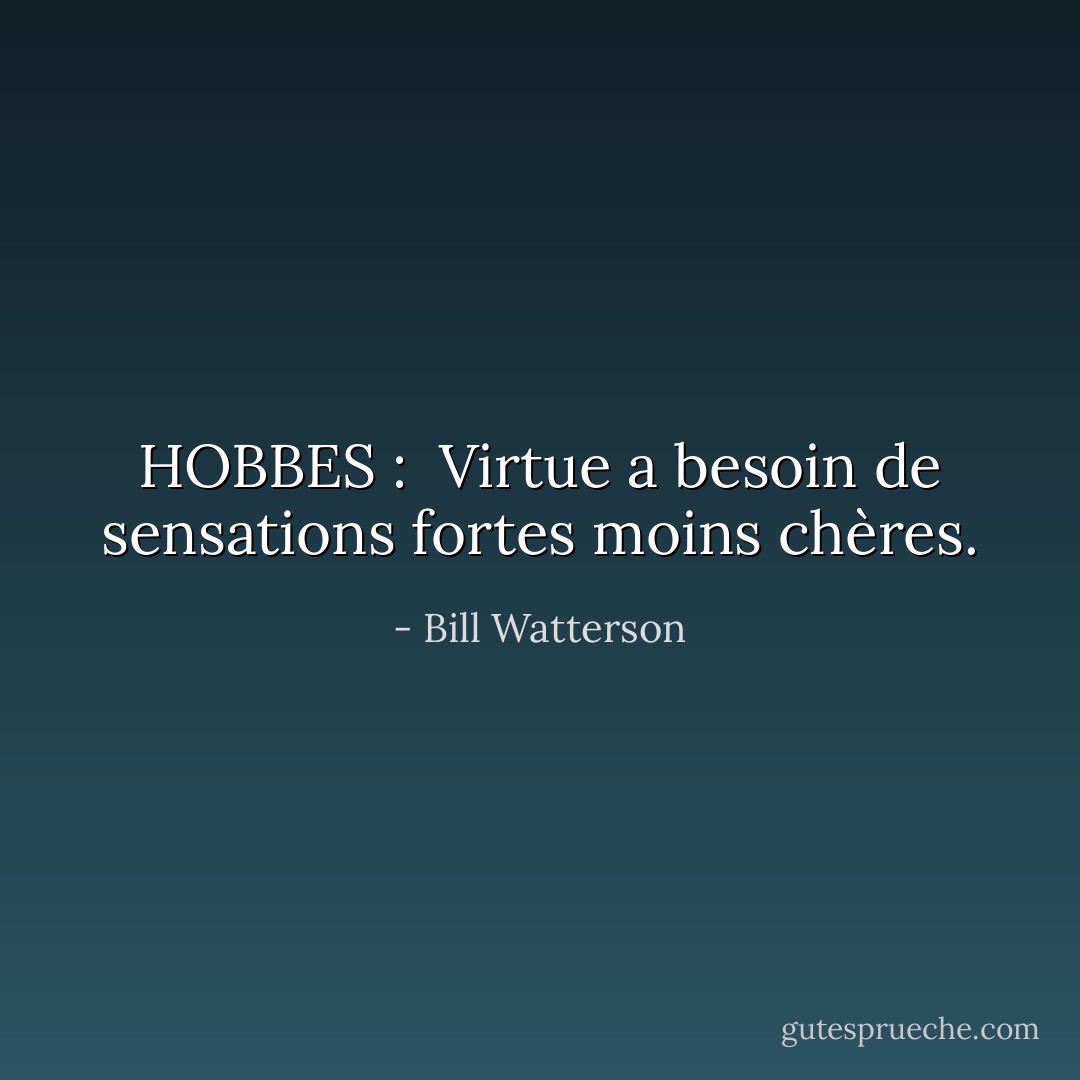 HOBBES : <br />Virtue a besoin de sensations fortes moins chères. - Bill Watterson