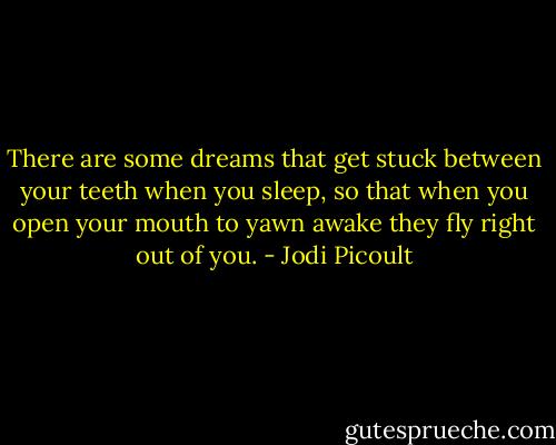 There are some dreams that get stuck between your teeth when you sleep, so that when you open your mouth to yawn awake they fly right out of you. - Jodi Picoult