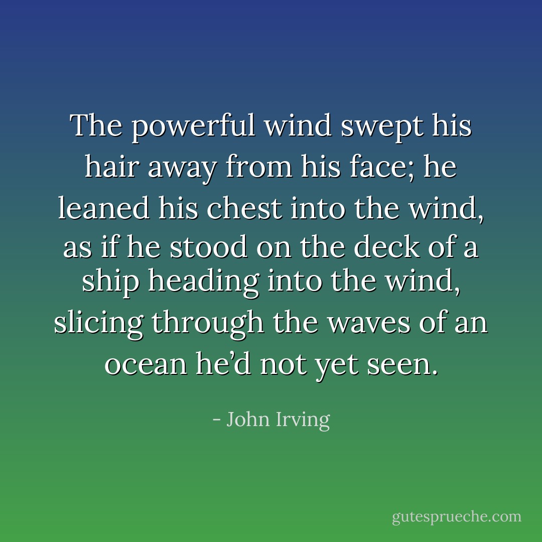 The powerful wind swept his hair away from his face; he leaned his chest into the wind, as if he stood on the deck of a ship heading into the wind, slicing through the waves of an ocean he’d not yet seen. - John Irving