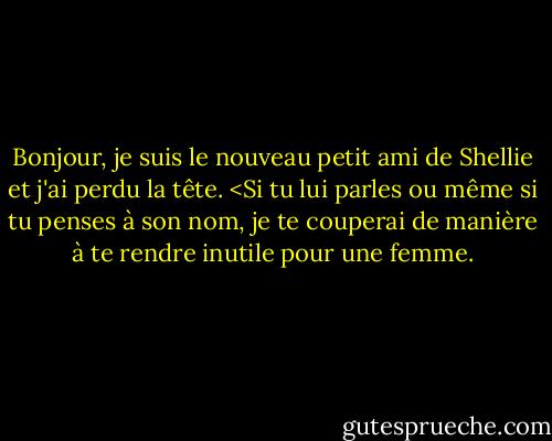 Bonjour, je suis le nouveau petit ami de Shellie et j'ai perdu la tête. <Si tu lui parles ou même si tu penses à son nom, je te couperai de manière à te rendre inutile pour une femme. - Frank Miller