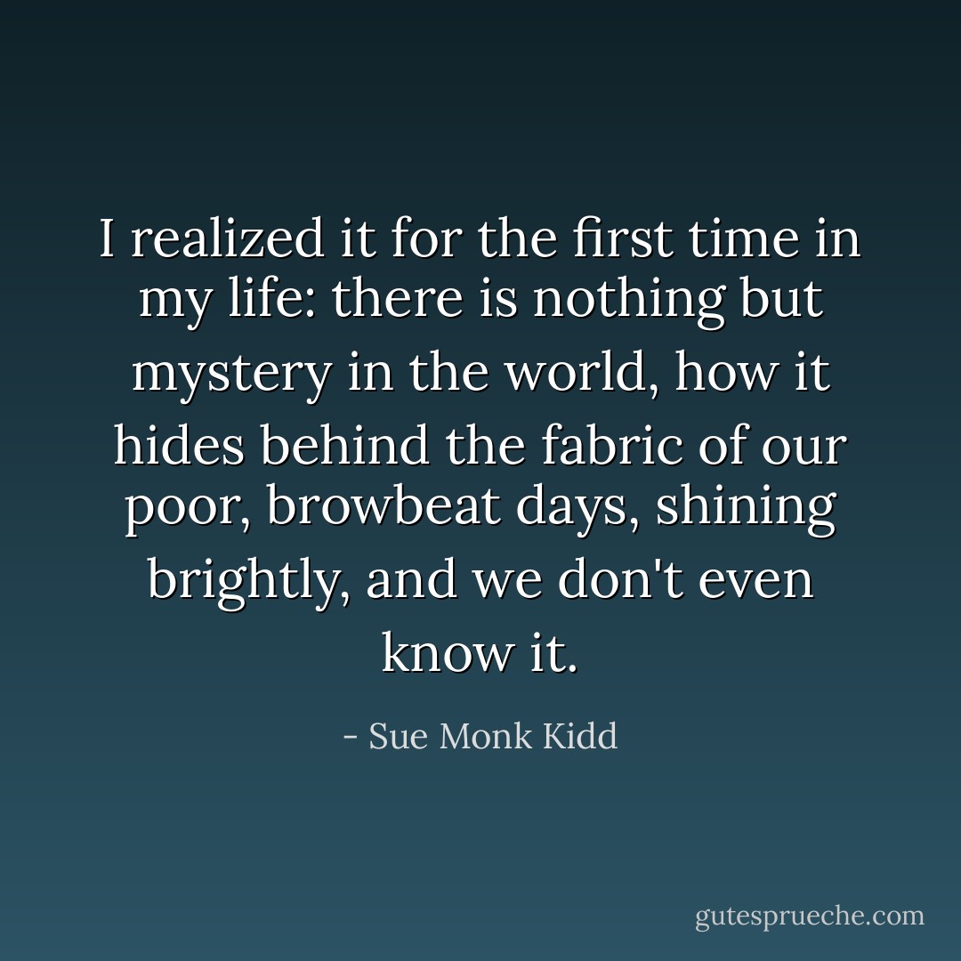 I realized it for the first time in my life: there is nothing but mystery in the world, how it hides behind the fabric of our poor, browbeat days, shining brightly, and we don't even know it. - Sue Monk Kidd