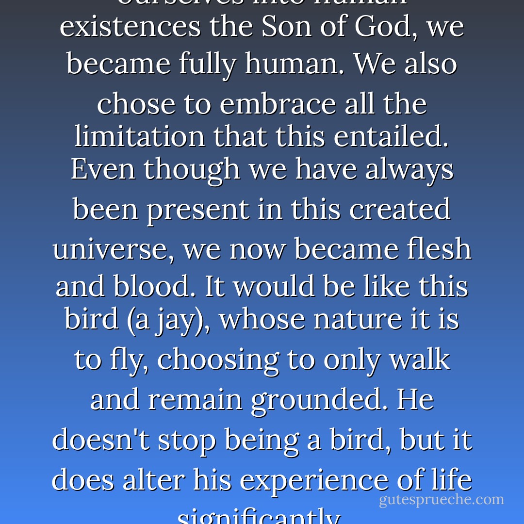 When we three spoke ourselves into human existences the Son of God, we became fully human. We also chose to embrace all the limitation that this entailed. Even though we have always been present in this created universe, we now became flesh and blood. It would be like this bird (a jay), whose nature it is to fly, choosing to only walk and remain grounded. He doesn't stop being a bird, but it does alter his experience of life significantly. - William Paul Young