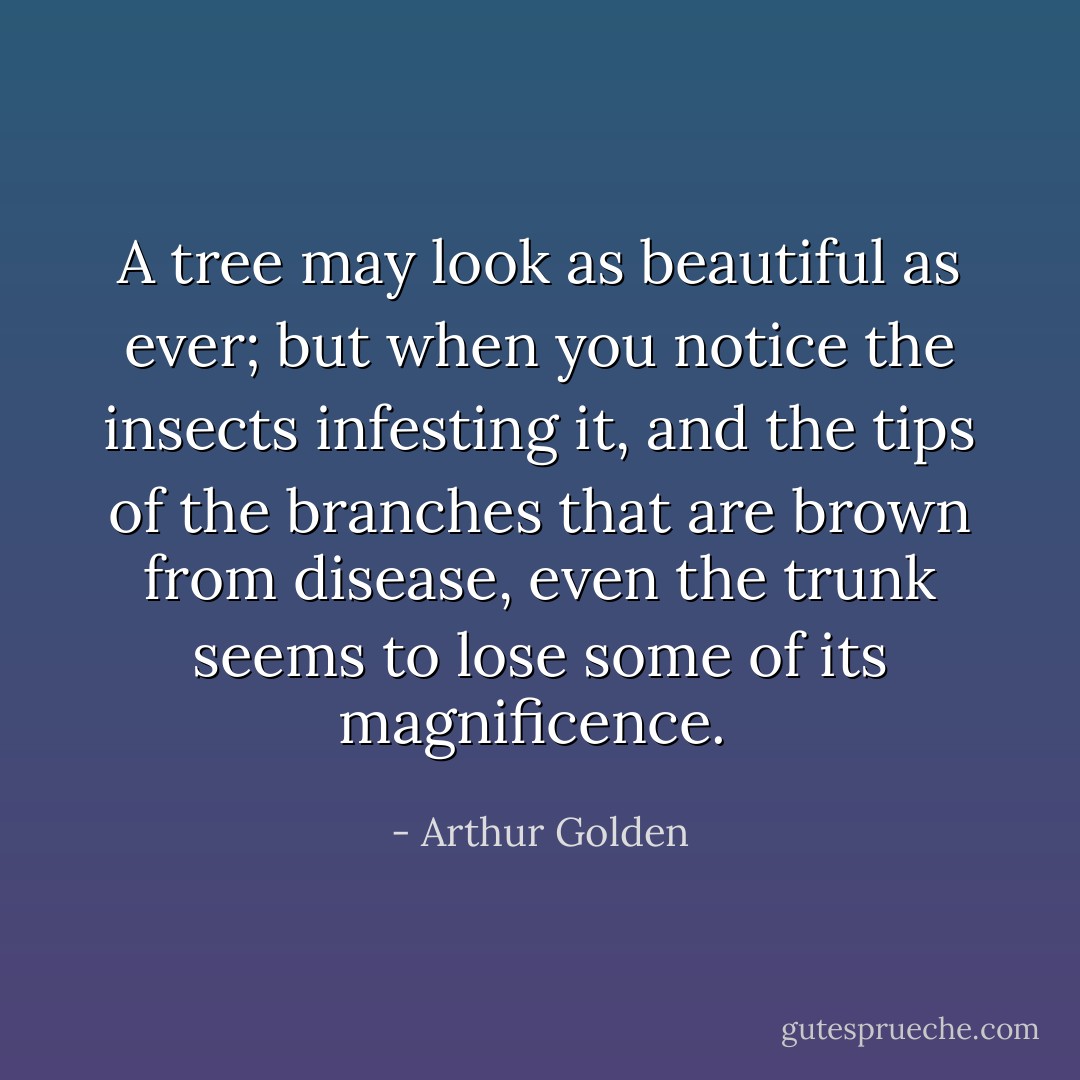 A tree may look as beautiful as ever; but when you notice the insects infesting it, and the tips of the branches that are brown from disease, even the trunk seems to lose some of its magnificence.  - Arthur Golden