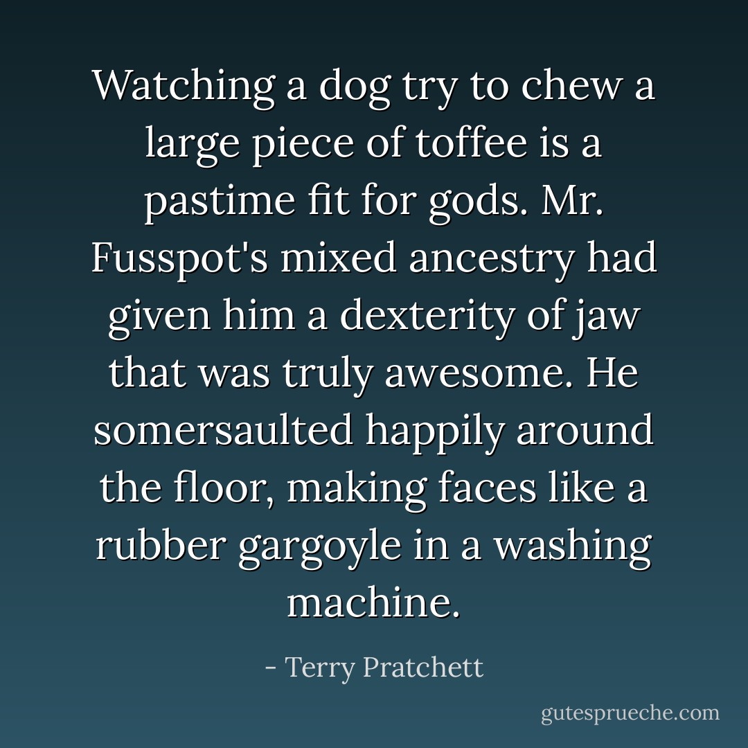 Watching a dog try to chew a large piece of toffee is a pastime fit for gods. Mr. Fusspot's mixed ancestry had given him a dexterity of jaw that was truly awesome. He somersaulted happily around the floor, making faces like a rubber gargoyle in a washing machine. - Terry Pratchett