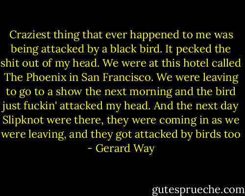 Craziest thing that ever happened to me was being attacked by a black bird. It pecked the shit out of my head. We were at this hotel called The Phoenix in San Francisco. We were leaving to go to a show the next morning and the bird just fuckin' attacked my head. And the next day Slipknot were there, they were coming in as we were leaving, and they got attacked by birds too - Gerard Way