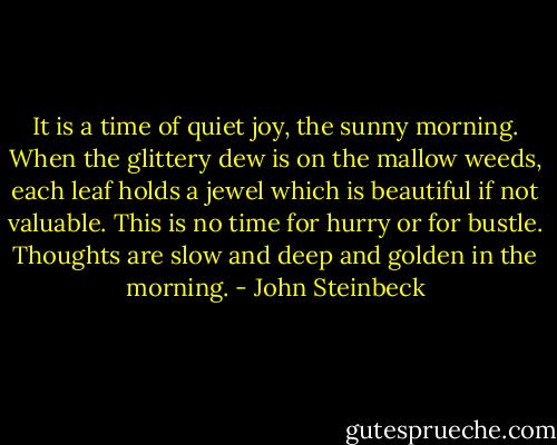 It is a time of quiet joy, the sunny morning. When the glittery dew is on the mallow weeds, each leaf holds a jewel which is beautiful if not valuable. This is no time for hurry or for bustle. Thoughts are slow and deep and golden in the morning. - John Steinbeck