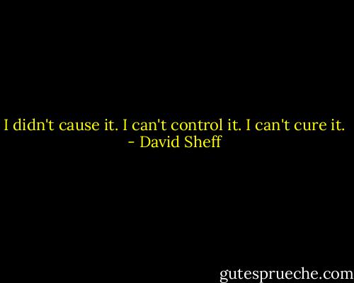 I didn't cause it. I can't control it. I can't cure it. - David Sheff