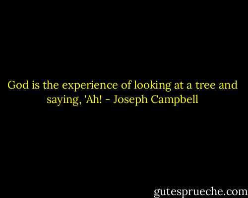 God is the experience of looking at a tree and saying, 'Ah! - Joseph Campbell