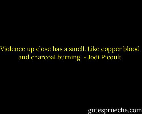 Violence up close has a smell. Like copper blood and charcoal burning. - Jodi Picoult