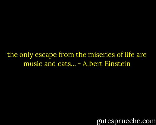 the only escape from the miseries of life are music and cats... - Albert Einstein
