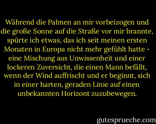 Während die Palmen an mir vorbeizogen und die große Sonne auf die Straße vor mir brannte, spürte ich etwas, das ich seit meinen ersten Monaten in Europa nicht mehr gefühlt hatte - eine Mischung aus Unwissenheit und einer lockeren Zuversicht, die einen Mann befällt, wenn der Wind auffrischt und er beginnt, sich in einer harten, geraden Linie auf einen unbekannten Horizont zuzubewegen. - Hunter S. Thompson<