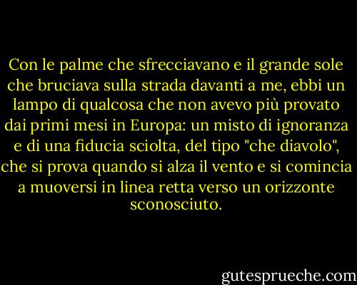 Con le palme che sfrecciavano e il grande sole che bruciava sulla strada davanti a me, ebbi un lampo di qualcosa che non avevo più provato dai primi mesi in Europa: un misto di ignoranza e di una fiducia sciolta, del tipo "che diavolo", che si prova quando si alza il vento e si comincia a muoversi in linea retta verso un orizzonte sconosciuto. - Hunter S. Thompson