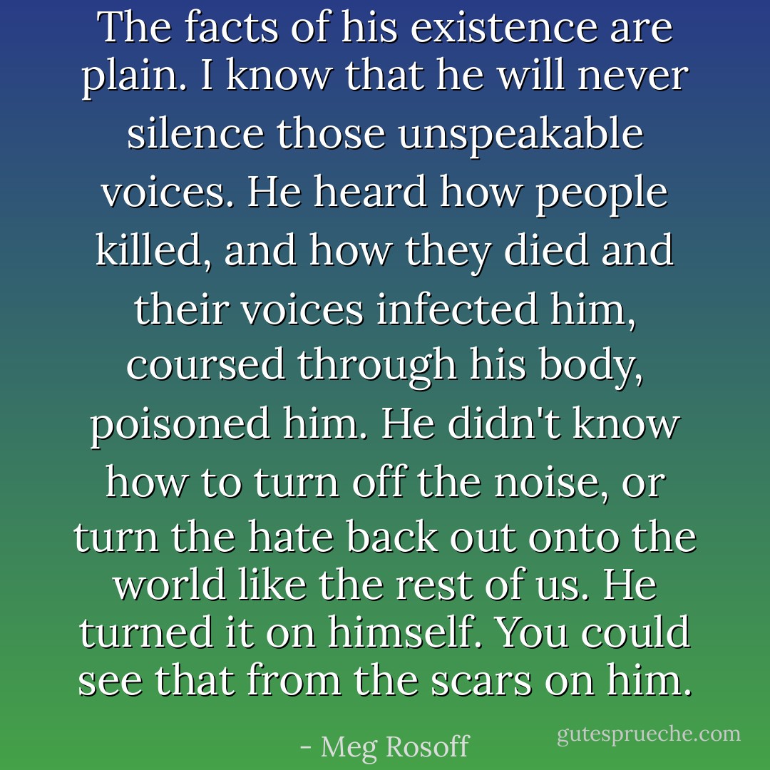 The facts of his existence are plain. I know that he will never silence those unspeakable voices. He heard how people killed, and how they died and their voices infected him, coursed through his body, poisoned him. He didn't know how to turn off the noise, or turn the hate back out onto the world like the rest of us. He turned it on himself. You could see that from the scars on him. - Meg Rosoff