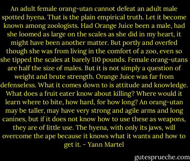 An adult female orang-utan cannot defeat an adult male spotted hyena. That is the plain empirical truth. Let it become known among zoologists. Had Orange Juice been a male, had she loomed as large on the scales as she did in my heart, it might have been another matter. But portly and overfed though she was from living in the comfort of a zoo, even so she tipped the scales at barely 110 pounds. Female orang-utans are half the size of males. But it is not simply a question of weight and brute strength. Orange Juice was far from defenseless. What it comes down to is attitude and knowledge. What does a fruit eater know about killing? Where would it learn where to bite, how hard, for how long? An orang-utan may be taller, may have very strong and agile arms and long canines, but if it does not know how to use these as weapons, they are of little use. The hyena, with only its jaws, will overcome the ape because it knows what it wants and how to get it. - Yann Martel