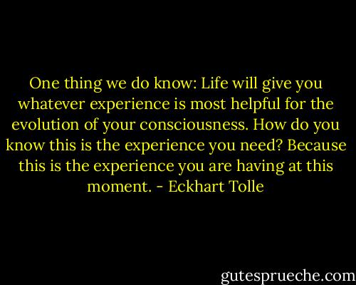 One thing we do know: Life will give you whatever experience is most helpful for the evolution of your consciousness. How do you know this is the experience you need? Because this is the experience you are having at this moment. - Eckhart Tolle