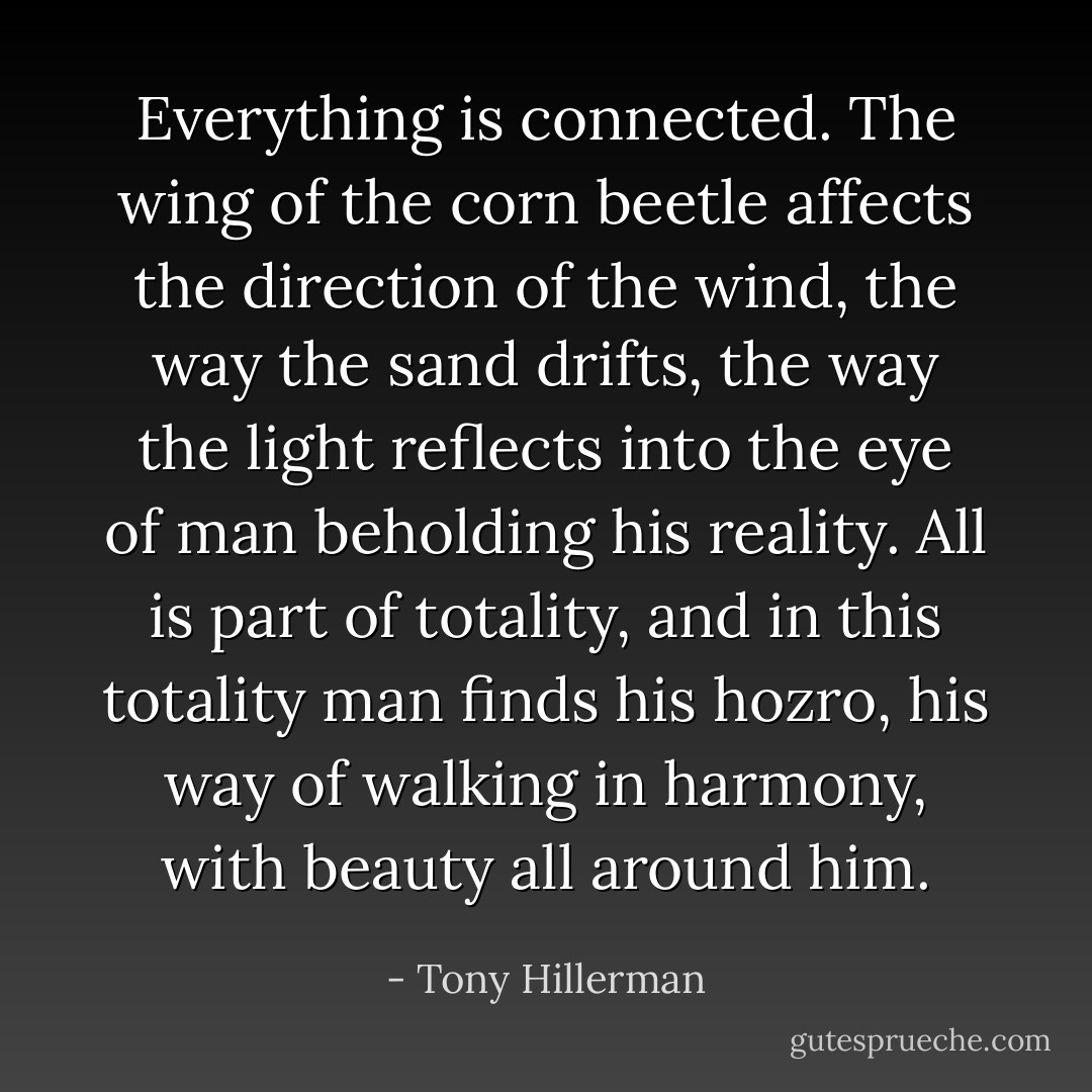 Everything is connected. The wing of the corn beetle affects the direction of the wind, the way the sand drifts, the way the light reflects into the eye of man beholding his reality. All is part of totality, and in this totality man finds his hozro, his way of walking in harmony, with beauty all around him. - Tony Hillerman