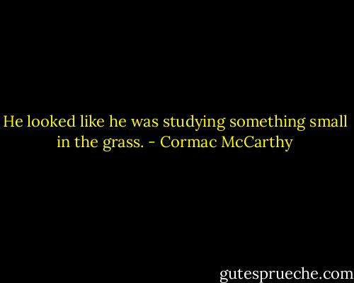 He looked like he was studying something small in the grass. - Cormac McCarthy