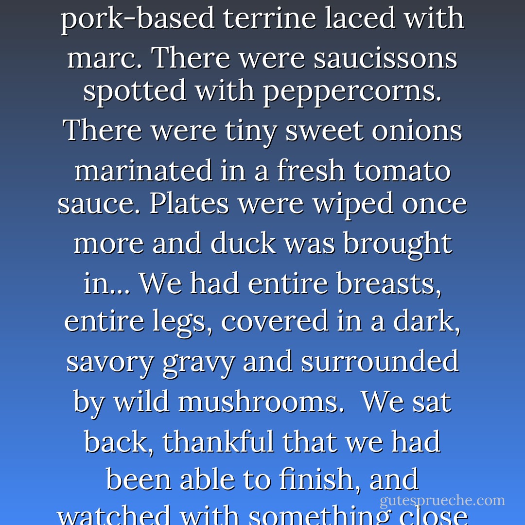 It was a meal that we shall never forget; more accurately, it was several meals that we shall never forget, because it went beyond the gastronomic frontiers of anything we had ever experienced, both in quantity and length. It started with homemade pizza - not one, but three: anchovy, mushroom, and cheese, and it was obligatory to have a slice of each. Plates were then wiped with pieces torn from the two-foot loaves in the middle of the table, and the next course came out. There were pates of rabbit, boar, and thrush. There was a chunky, pork-based terrine laced with marc. There were saucissons spotted with peppercorns. There were tiny sweet onions marinated in a fresh tomato sauce. Plates were wiped once more and duck was brought in... We had entire breasts, entire legs, covered in a dark, savory gravy and surrounded by wild mushrooms.<br /><br />We sat back, thankful that we had been able to finish, and watched with something close to panic as plates were wiped yet again and a huge, steaming casserole was placed on the table. This was the specialty of Madame our hostess - a rabbit civet of the richest, deepest brown - and our feeble requests for small portions were smilingly ignored. We ate it. We ate the green salad with knuckles of bread fried in garlic and olive oil, we ate the plump round crottins of goat's cheese, we ate the almond and cream gateau that the daughter of the house had prepared. That night, we ate for England. - Peter Mayle
