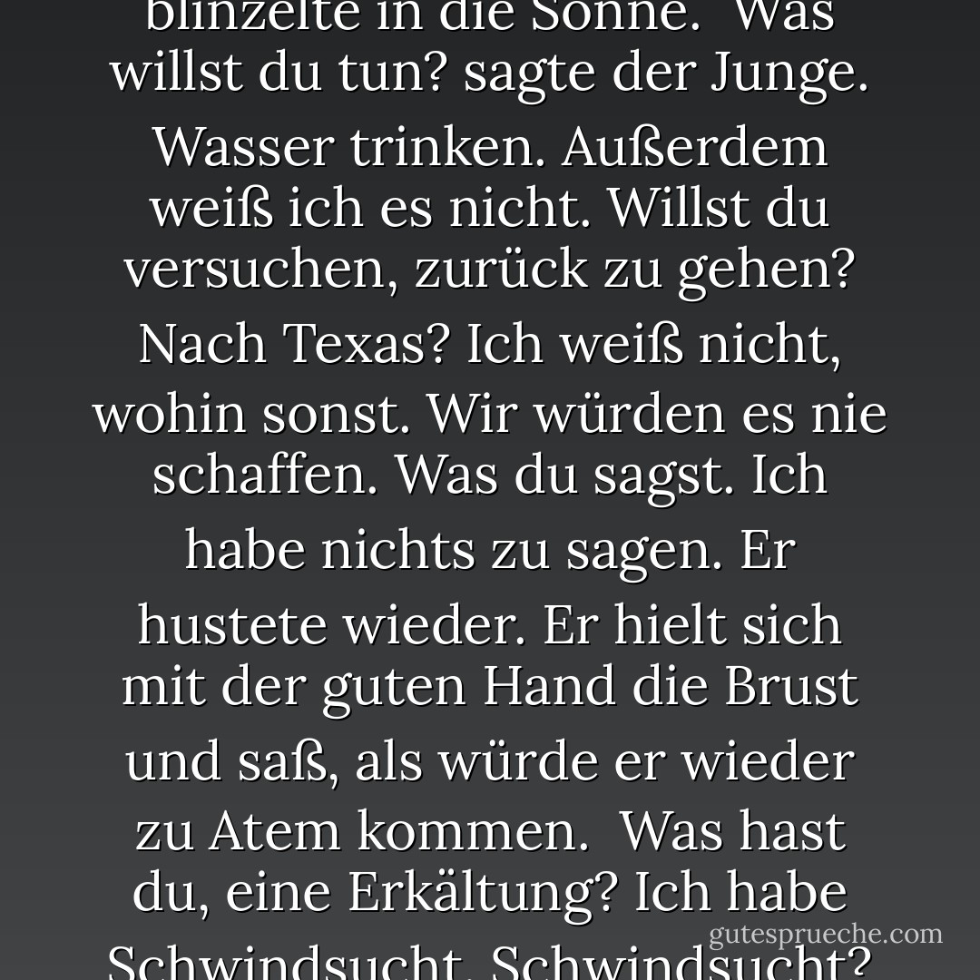 Sie setzten sich auf eine Bank, und Sproule hielt seinen verwundeten Arm an die Brust, schaukelte hin und her und blinzelte in die Sonne. <br />Was willst du tun? sagte der Junge.<br />Wasser trinken.<br />Außerdem weiß ich es nicht.<br />Willst du versuchen, zurück zu gehen?<br />Nach Texas?<br />Ich weiß nicht, wohin sonst.<br />Wir würden es nie schaffen.<br />Was du sagst.<br />Ich habe nichts zu sagen.<br />Er hustete wieder. Er hielt sich mit der guten Hand die Brust und saß, als würde er wieder zu Atem kommen. <br />Was hast du, eine Erkältung?<br />Ich habe Schwindsucht.<br />Schwindsucht?<br />Er nickte. Ich bin wegen meiner Gesundheit hier draußen. - Cormac McCarthy<