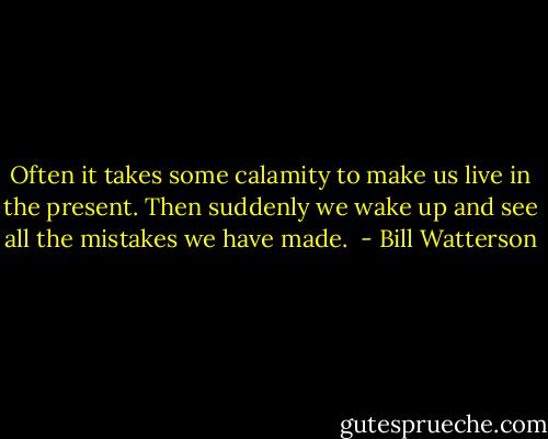 Often it takes some calamity to make us live in the present. Then suddenly we wake up and see all the mistakes we have made.  - Bill Watterson