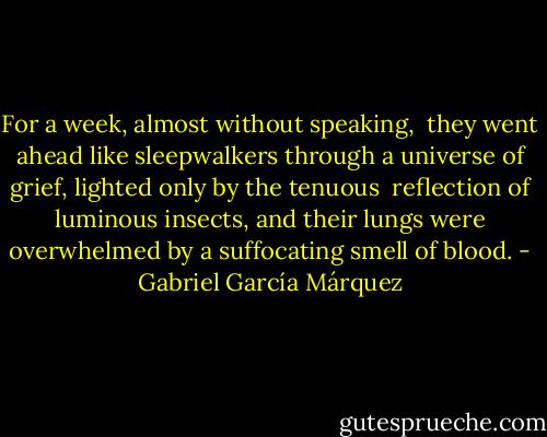 For a week, almost without speaking, <br />they went ahead like sleepwalkers through a universe of grief, lighted only by the tenuous <br />reflection of luminous insects, and their lungs were overwhelmed by a suffocating smell of blood. - Gabriel García Márquez