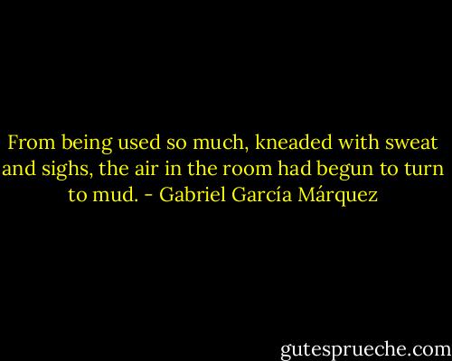 From being used so much, kneaded with sweat and sighs, the air in the room had begun to turn to mud. - Gabriel García Márquez