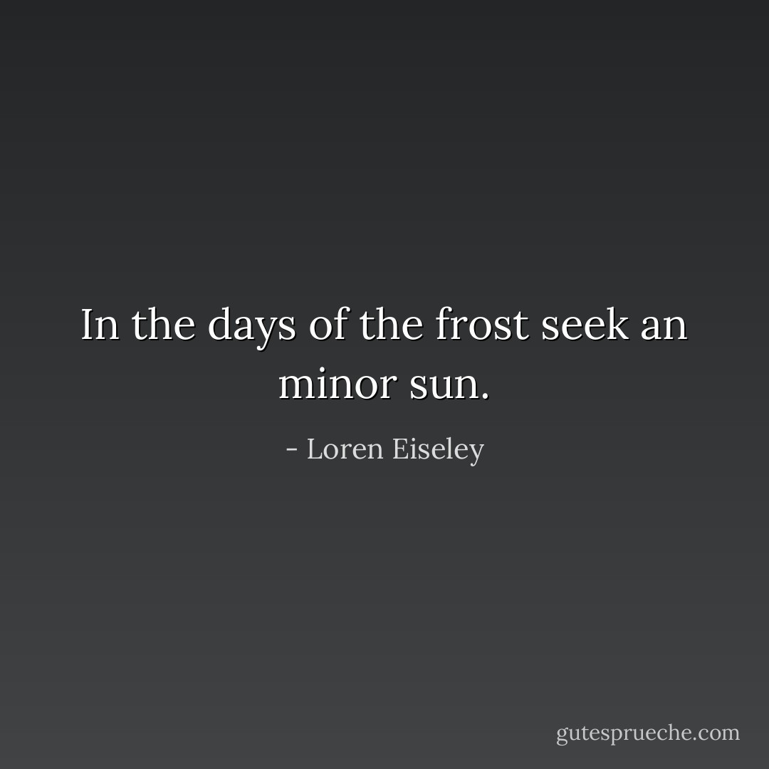 In the days of the frost seek an minor sun. - Loren Eiseley
