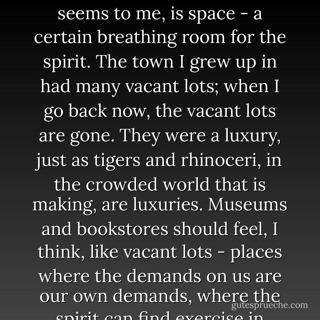 Whatever art offered the men and women of previous eras, what it offers our own, it seems to me, is space - a certain breathing room for the spirit. The town I grew up in had many vacant lots; when I go back now, the vacant lots are gone. They were a luxury, just as tigers and rhinoceri, in the crowded world that is making, are luxuries. Museums and bookstores should feel, I think, like vacant lots - places where the demands on us are our own demands, where the spirit can find exercise in unsupervised play. - John Updike