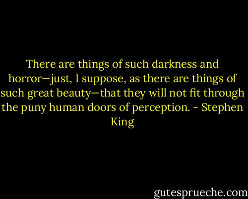 There are things of such darkness and horror—just, I suppose, as there are things of such great beauty—that they will not fit through the puny human doors of perception. - Stephen King