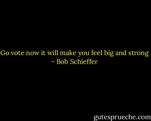 Go vote now it will make you feel big and strong - Bob Schieffer