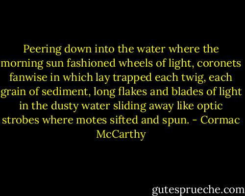 Peering down into the water where the morning sun fashioned wheels of light, coronets fanwise in which lay trapped each twig, each grain of sediment, long flakes and blades of light in the dusty water sliding away like optic strobes where motes sifted and spun. - Cormac McCarthy