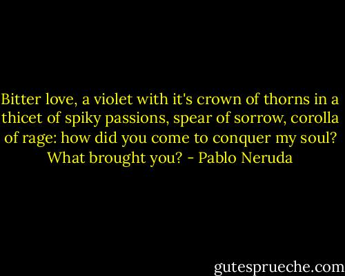 Bitter love, a violet with it's crown of thorns in a thicet of spiky passions, spear of sorrow, corolla of rage: how did you come to conquer my soul? What brought you? - Pablo Neruda
