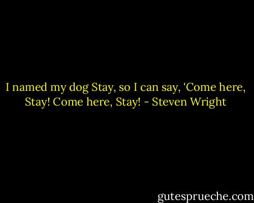 I named my dog Stay, so I can say, 'Come here, Stay! Come here, Stay! - Steven Wright