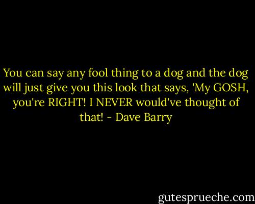You can say any fool thing to a dog and the dog will just give you this look that says, 'My GOSH, you're RIGHT! I NEVER would've thought of that! - Dave Barry