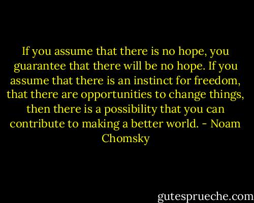 If you assume that there is no hope, you guarantee that there will be no hope. If you assume that there is an instinct for freedom, that there are opportunities to change things, then there is a possibility that you can contribute to making a better world. - Noam Chomsky